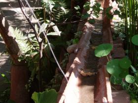 photo coins arrondis